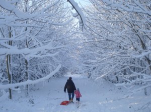 snowy2