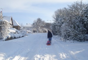 snowy4